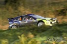 Irska rally